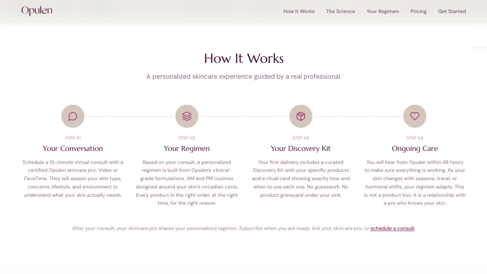 The How It Works page, four steps from virtual consult to ongoing care.